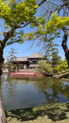 東大寺(奈良県)