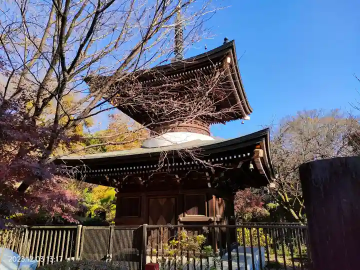 泉蔵院(東京都)
