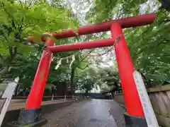 本太氷川神社の鳥居