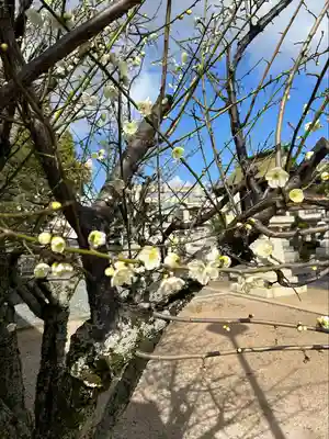賀茂神社天満宮(鳥取県)