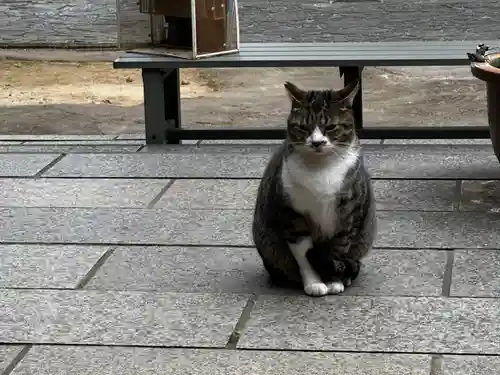 王子神社(徳島県)