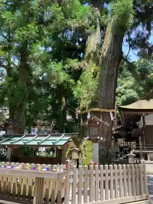 大神神社(奈良県)