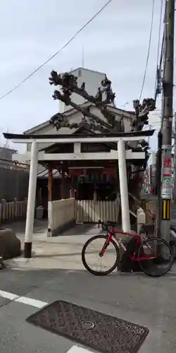 榎白上大神(大阪府)