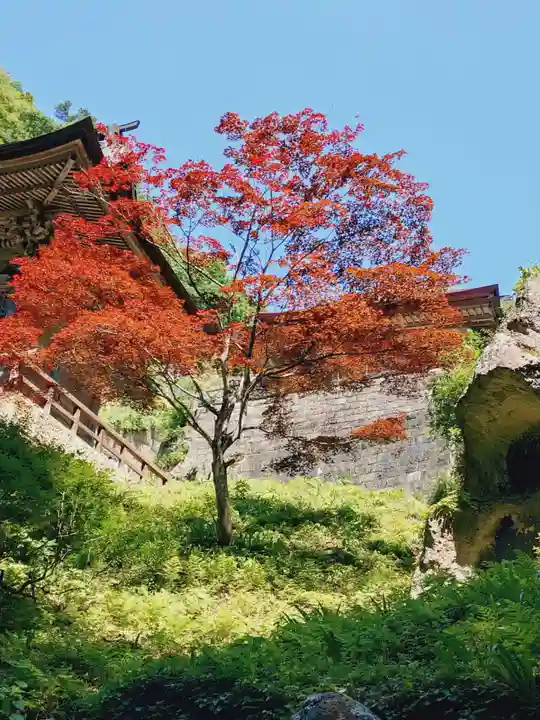 宝珠山 立石寺(山形県)