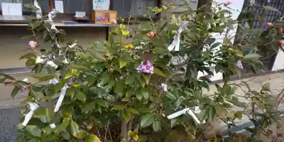 月読神社（松尾大社摂社）(京都府)