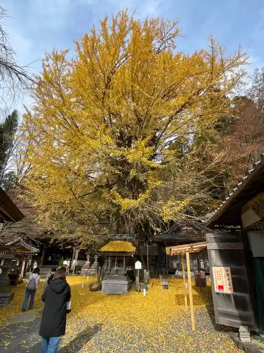 正法寺(滋賀県)