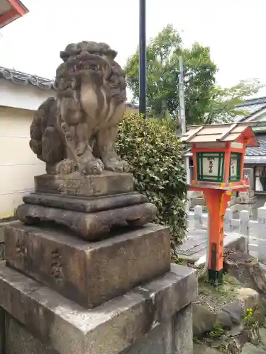 八坂神社(祇園さん)の狛犬