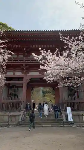 醍醐寺(京都府)