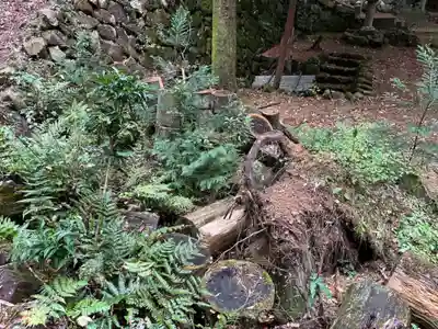 多吉神社(京都府)
