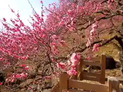 筑波山神社(茨城県)