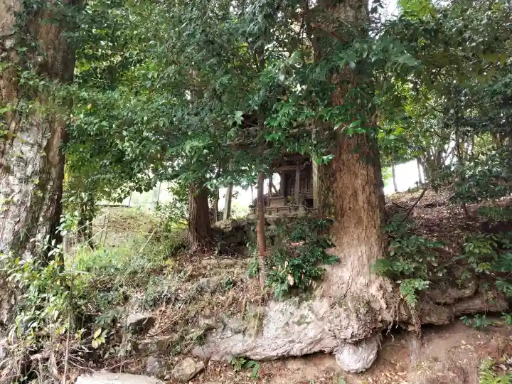 志波加神社の{uncategorized: "未分類", other: "その他", undefined: "問題あり", building: "その他建物", grave: "お墓", sacred_gate: "鳥居", guardian: "狛犬", statue: "像", buddha: "仏像", history: "歴史", nature: "自然", garden: "庭園", animal: "動物", pagoda: "塔", temizu: "手水舎", mountain_gate: "山門・神門", sanctuary: "本殿・本堂", subordinate: "末社・摂社", art: "芸術", scenery: "景色", jizo: "地蔵", ema: "絵馬", goshuin: "御朱印", omikuji: "おみくじ", items: "授与品その他", amulet: "お守り", goshuincho: "御朱印帳", eats: "食事", festival: "お祭り", votive_dance: "神楽", shichigosan: "七五三参", wedding: "結婚式", experience: "体験その他", initially: "初詣", around: "周辺", anti_infection: "感染症対策"}
