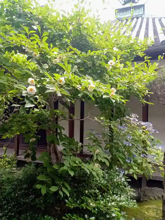 観智院(東寺子院)(京都府)