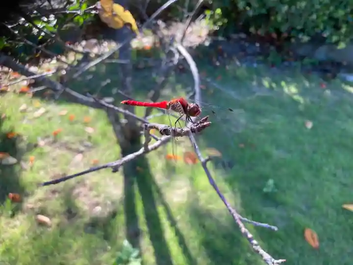 大船観音寺(神奈川県)