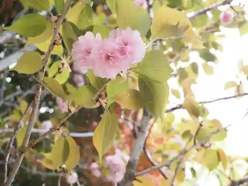 下神明天祖神社の自然