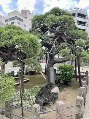 光明寺(千葉県)