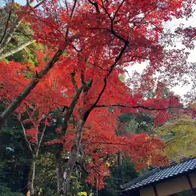 西明寺(滋賀県)