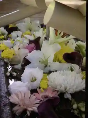 鳩森八幡神社の手水舎