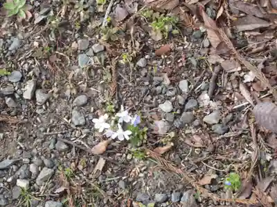 大徳院(埼玉県)