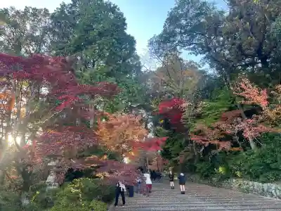 光明寺（粟生光明寺）(京都府)