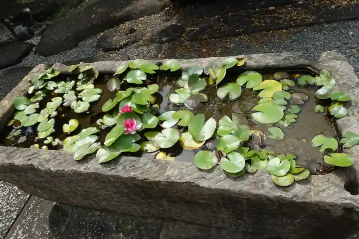 太融寺の手水舎