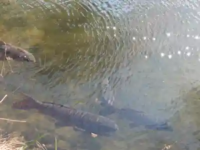廣瀬神社(埼玉県)