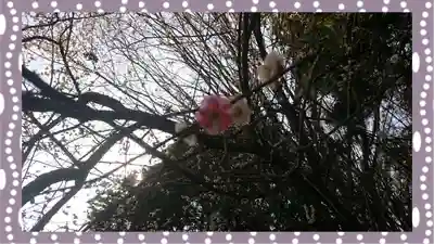 千代ケ岡八幡宮(栃木県)