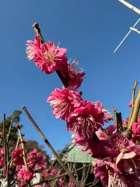 妙法寺(神奈川県)