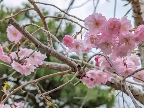 正法寺(京都府)