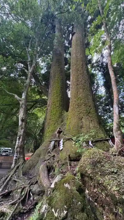 貴船神社奥宮(京都府)