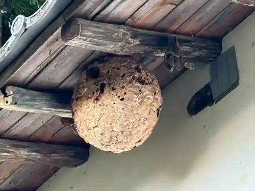 横川天白社(長野県)