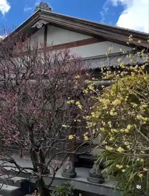 修禅寺(静岡県)