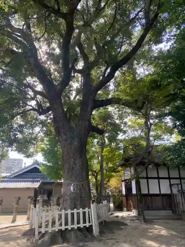 鴨高田神社(大阪府)