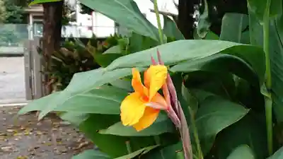 妙法寺(静岡県)