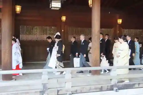 明治神宮(東京都)