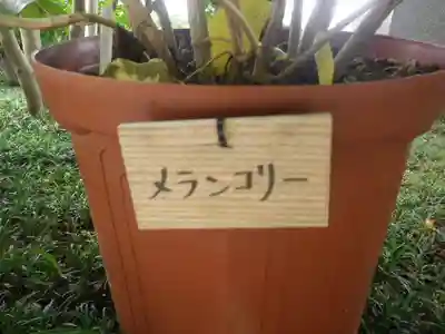 長谷寺のその他建物