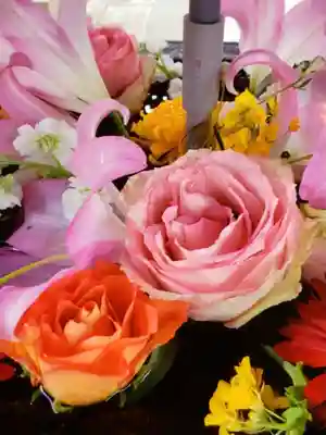 鳩森八幡神社(東京都)