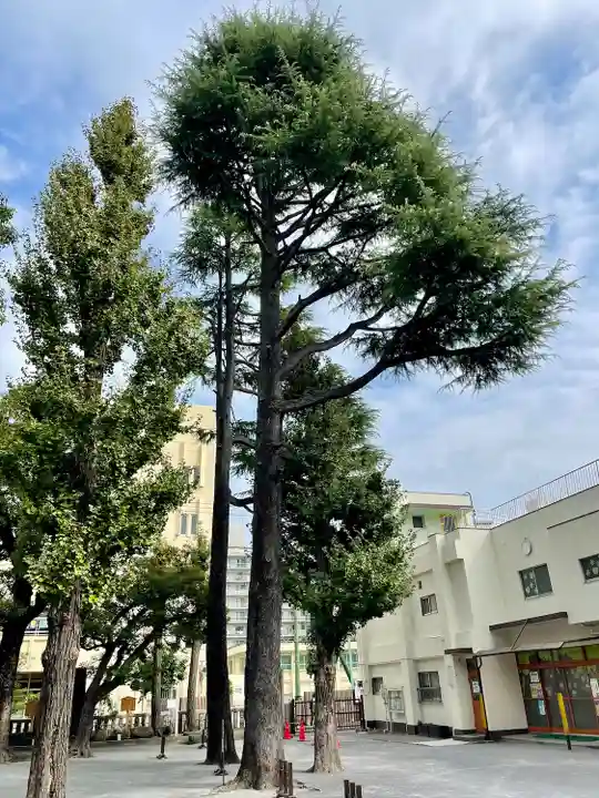 お三の宮日枝神社(神奈川県)