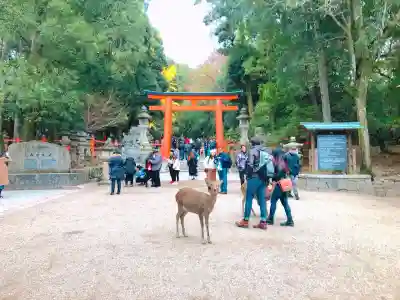 春日大社(奈良県)