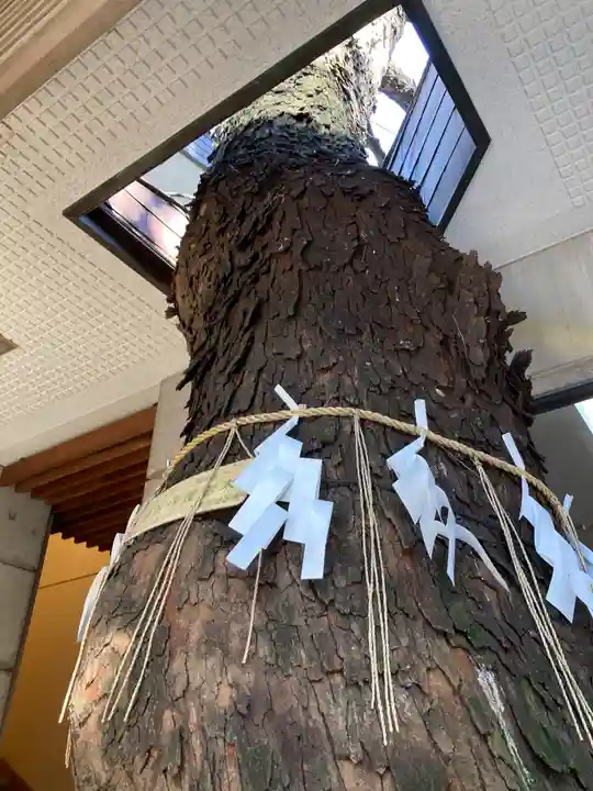 乃木神社の自然