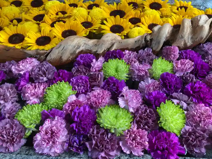 金蛇水神社の手水舎