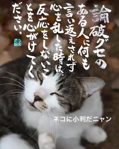 専念寺(大阪府)