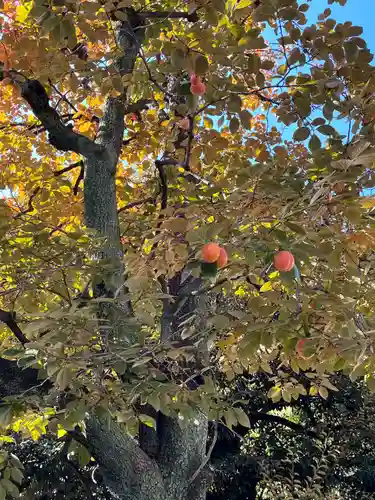 新曽氷川神社(埼玉県)