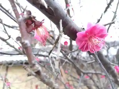 毫摂寺(兵庫県)