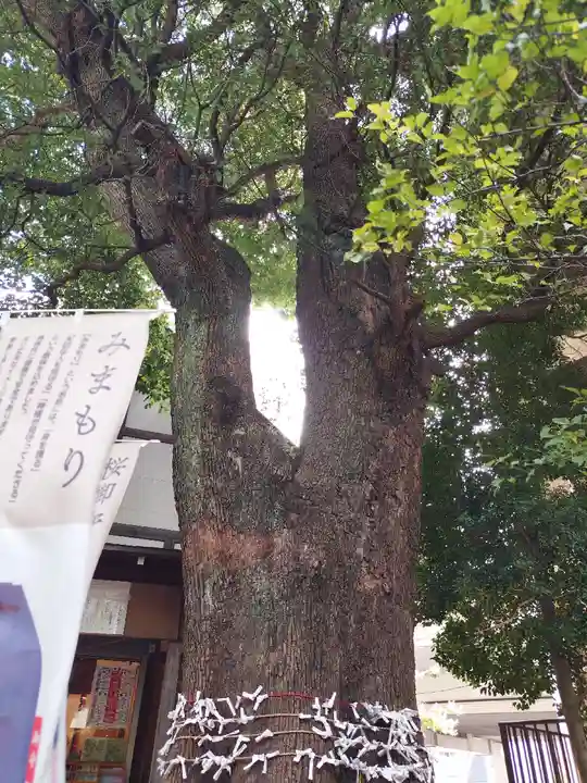稲荷神社(上目黒鎮座)(東京都)