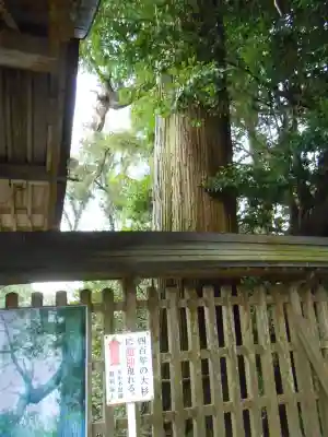 東霧島神社(宮崎県)