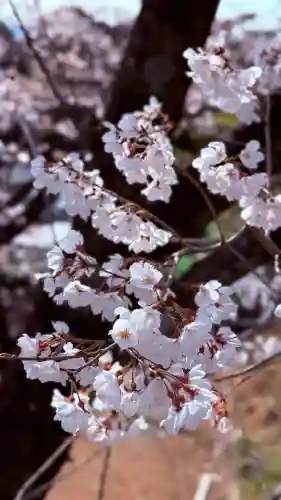 成田山名古屋別院大聖寺(犬山成田山)の{uncategorized: "未分類", other: "その他", undefined: "問題あり", building: "その他建物", grave: "お墓", sacred_gate: "鳥居", guardian: "狛犬", statue: "像", buddha: "仏像", history: "歴史", nature: "自然", garden: "庭園", animal: "動物", pagoda: "塔", temizu: "手水舎", mountain_gate: "山門・神門", sanctuary: "本殿・本堂", subordinate: "末社・摂社", art: "芸術", scenery: "景色", jizo: "地蔵", ema: "絵馬", goshuin: "御朱印", omikuji: "おみくじ", items: "授与品その他", amulet: "お守り", goshuincho: "御朱印帳", eats: "食事", festival: "お祭り", votive_dance: "神楽", shichigosan: "七五三参", wedding: "結婚式", experience: "体験その他", initially: "初詣", around: "周辺", anti_infection: "感染症対策"}