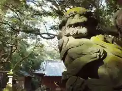 渡海神社の狛犬