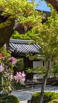 圓光寺(京都府)