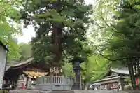 諏訪大社下社秋宮(長野県)