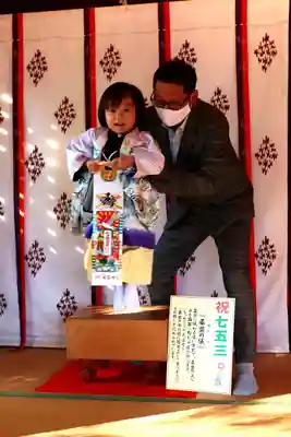 三津厳島神社の七五三参